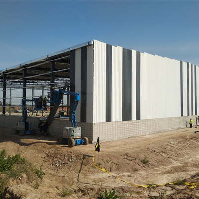 Large Span Steel Structure Building House Warehouse Factory Storage Workshop Construction