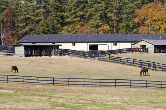 Animal Tent for Raise Cattle & Cow Factory Livestock Animal Shelter Horse Stable