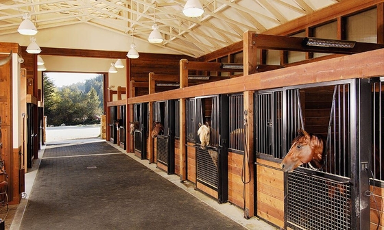 Animal Tent for Raise Cattle & Cow Factory Livestock Animal Shelter Horse Stable