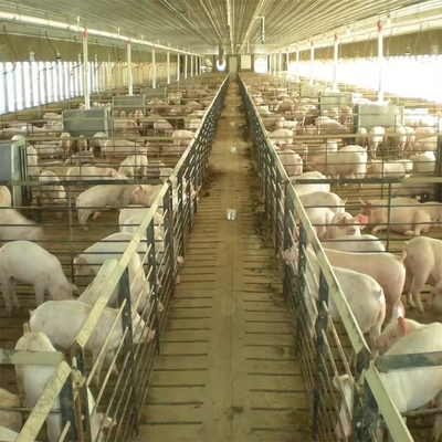 RG-Low Cost Steel Structure Poultry House Construct Mobile Chicken Pig Goat Cow Breeding Shed Cattle Farming Farm in China