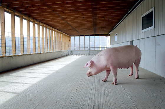 Steel Structure Poultry House Construct Mobile Chicken Pig Goat Cow Breeding Shed Cattle Farming Farm in China