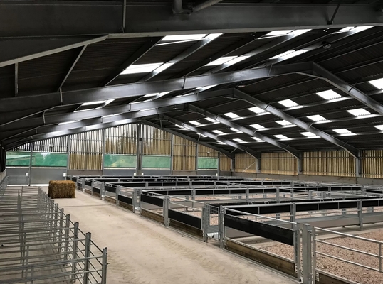 Durable Factory Industrial Design Prefabricated Steel Farmhouse for Sheep Pigs Cow Poultry Cow Poultry Farmhouse