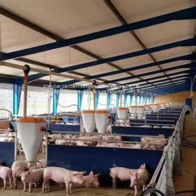 High Quality Long Span Steel Structure Prefabricated Construction Design for Pig Farm and Chicken House for Pig Shed