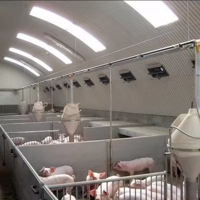 High Quality Long Span Steel Structure Prefabricated Construction Design for Pig Farm and Chicken House for Pig Shed