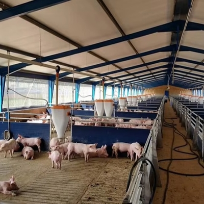 Factory 2025 New Design Prefab Steel Structure Farmhouse Cow Shed and Pig Housing for Farm Building