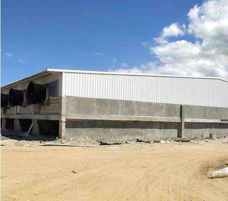 Factory 2025 New Design Prefab Steel Structure Farmhouse Cow Shed and Pig Housing for Farm Building