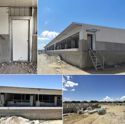 Factory 2025 New Design Prefab Steel Structure Farmhouse Cow Shed and Pig Housing for Farm Building