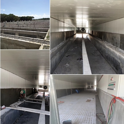 Factory 2025 New Design Prefab Steel Structure Farmhouse Cow Shed and Pig Housing for Farm Building