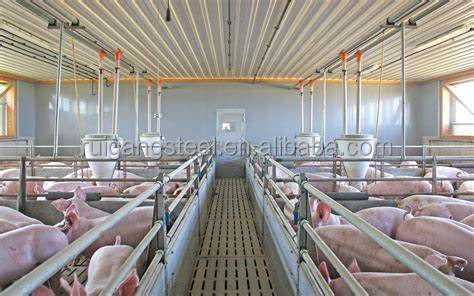 High-Quality Steel Structure Hog Pen/Pigpen Durable and Spacious for Optimal Pig Farming.