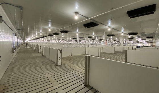 High-Quality Steel Structure Hog Pen/Pigpen Durable and Spacious for Optimal Pig Farming.