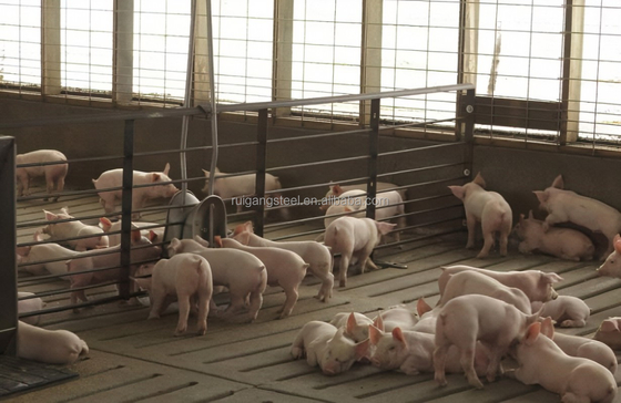 High-Quality Steel Structure Hog Pen/Pigpen Durable and Spacious for Optimal Pig Farming.
