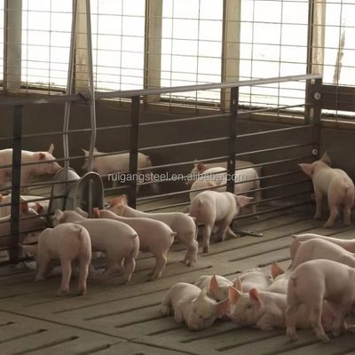 Luxury Garage Storage Poultry Chicken and Pig Farming for Chicken and Pig House for Steel Structure Building