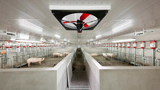 Luxury Garage Storage Poultry Chicken and Pig Farming for Chicken and Pig House for Steel Structure Building