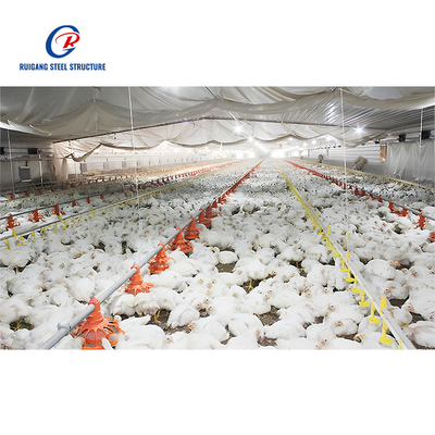 Heavy Steel Structure Chicken Shed Prefab Steel Building for Poultry Farm and Farm Shed Use Chicken House