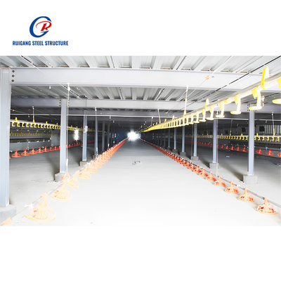 Heavy Steel Structure Chicken Shed Prefab Steel Building for Poultry Farm and Farm Shed Use Chicken House