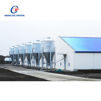 Heavy Steel Structure Chicken Shed Prefab Steel Building for Poultry Farm and Farm Shed Use Chicken House