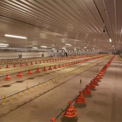 Heavy Steel Structure Chicken Shed Prefab Steel Building for Poultry Farm and Farm Shed Use