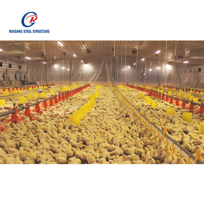Steel Structure Building for Chicken House Poultry Farm Chicken Shed and Prefab Farm Shed Use