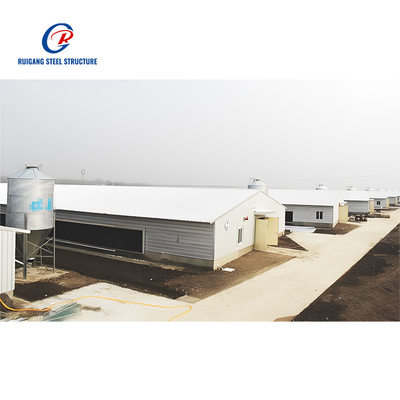 Steel Structure Building for Chicken House Poultry Farm Chicken Shed and Prefab Farm Shed Use