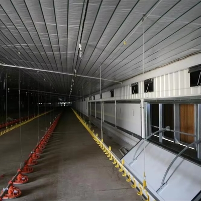 Steel Structure Building for Chicken House Poultry Farm Chicken Shed and Prefab Farm Shed Use
