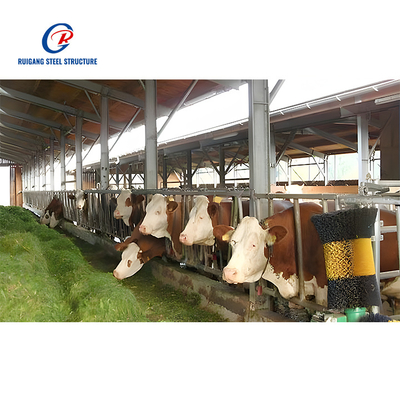 Livestock Shelter Dairy Farm Shed Prefabricated Sheep Goat Farming Sheds Design Goat House Farm Sheds Steel Structure Building