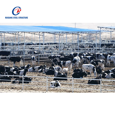 Stable Design Porcherie Prefabricated Steel Structure Poultry Farm Dairy Cattle Pig Shed Home Farm House Building