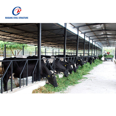 Stable Design Porcherie Prefabricated Steel Structure Building Dairy Cattle Pig Shed Home Farm House Building