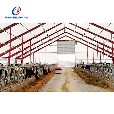 Stable Design Porcherie Prefabricated Steel Structure Building Dairy Cattle Pig Shed Home Farm House Building