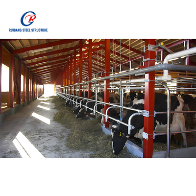 Stable Design Porcherie Prefabricated Steel Structure Building Dairy Cattle Pig Shed Home Farm House Building