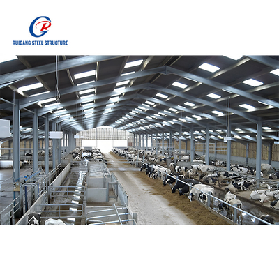 Cow Shed Steel Structure Building for Livestock Facilities Durable and Efficient Solution for Farming Needs