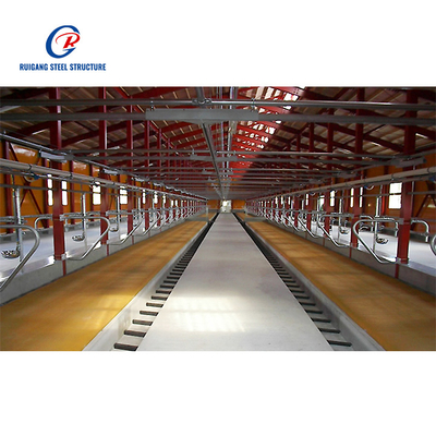 Cow Shed Steel Structure Building for Livestock Facilities Durable and Efficient Solution for Farming Needs