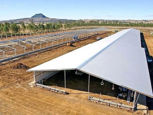 Industrial-Style Prefabricated Steel Structure Cattle Shed Fast Construction for Farmhouse Dairy and Livestock Easy Delivery