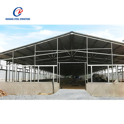 Modern Design Steel Cow and Pig Shed for Farmhouse for Construction and Housing Purpose Steel Structure Farm