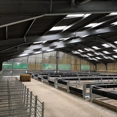 Modern Prefabricated Farm Structure Big Storage Building Shed for Poultry Sheep Dairy Farm Goat House Warehouse Barn