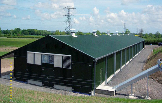 Modern Prefabricated Farm Structure Big Storage Building Shed for Poultry Sheep Dairy Farm Goat House Warehouse Barn
