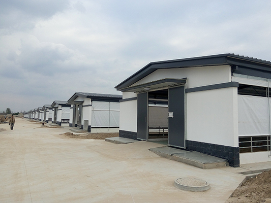 Versatile Prefabricated Steel Structure Workshop Halls for Poultry Farm for Sheep Chicken House Designed in Farmhouse Style