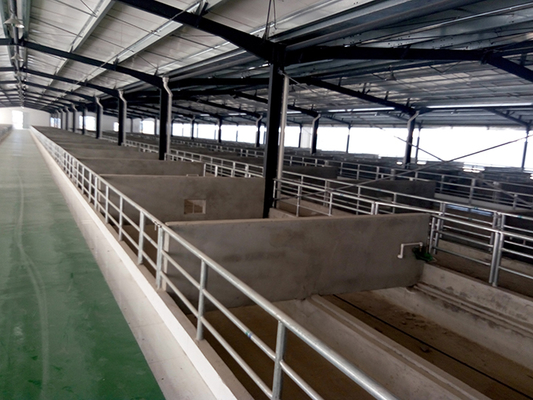 High Quality RG Goat Farming Plastic Shed Steel Slatted Floor for Goat and Sheep Housing