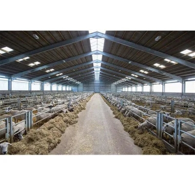 High Quality RG Goat Farming Plastic Shed Steel Slatted Floor for Goat and Sheep Housing