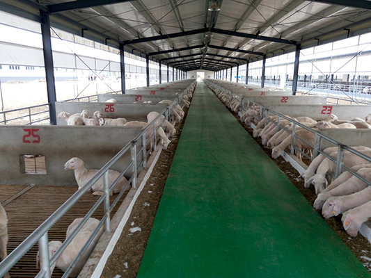 Prefab Goat House Sheds Metal Sheep Farm Construction Goat Sheep Steel Structure Farmhouse