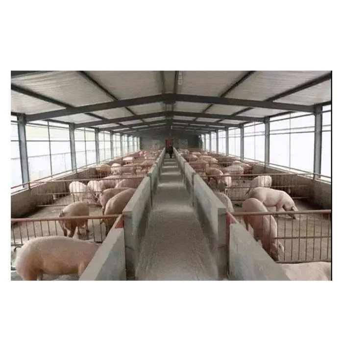 RG-Low Cost Steel Structure Poultry House Construct Mobile Chicken Pig Goat Cow Breeding Shed Cattle Farming Farm in China