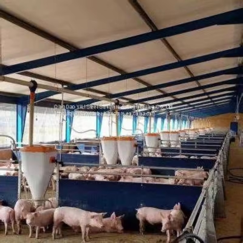 High Quality Long Span Steel Structure Prefabricated Construction Design for Pig Farm and Chicken House for Pig Shed