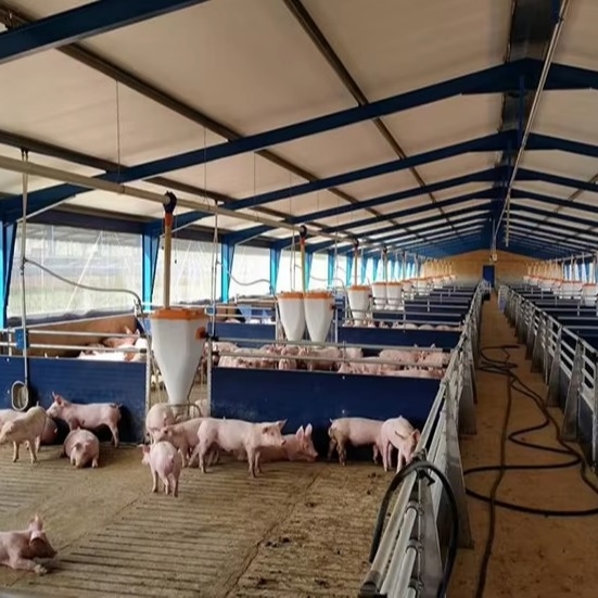 Factory 2025 New Design Prefab Steel Structure Farmhouse Cow Shed and Pig Housing for Farm Building