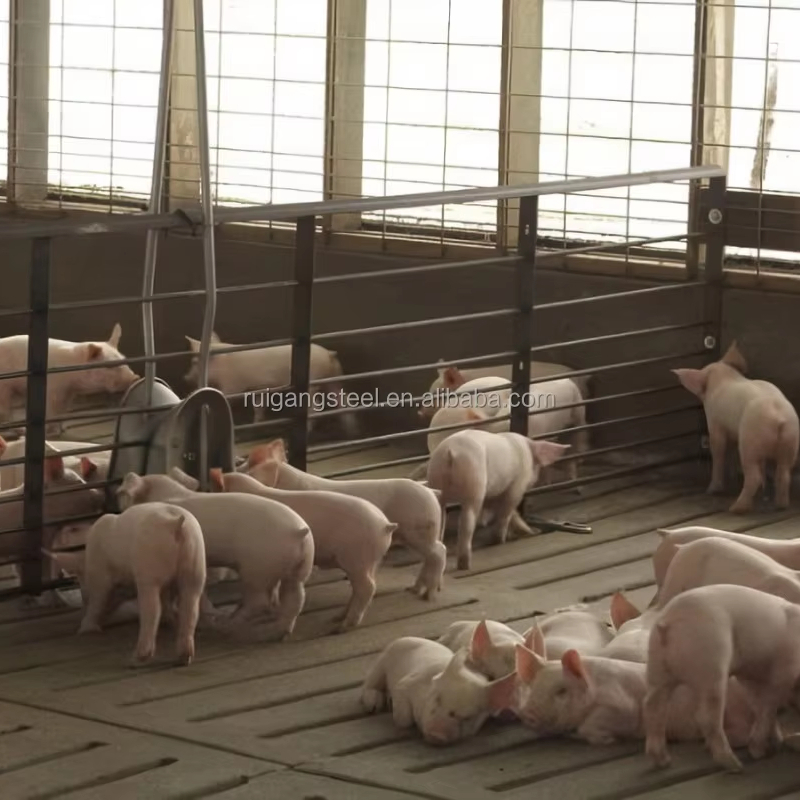 Luxury Garage Storage Poultry Chicken and Pig Farming for Chicken and Pig House for Steel Structure Building