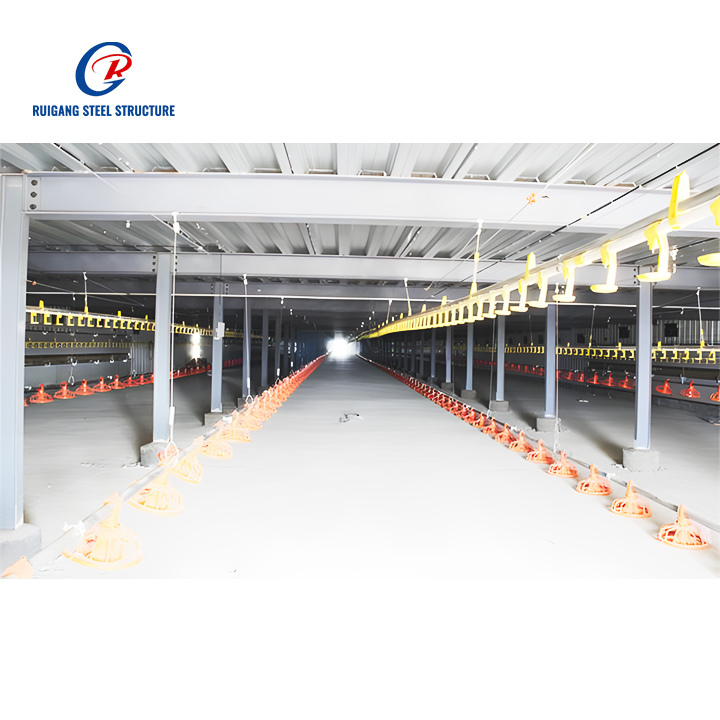Structure Poultry Farm Shed Building Chicken Farm House Design Cheap Construction Steel New Chicken Coop Chicken Sheds