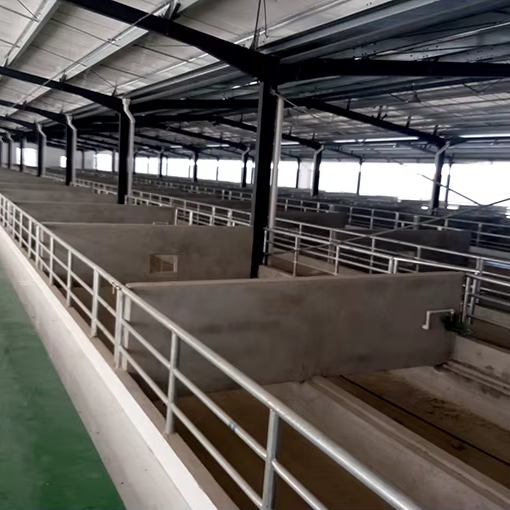 Low Cost Modern Prefab Steel Structure Sheep Goat Farm Barn House Dairy Cow Shed Cattle Farm Building